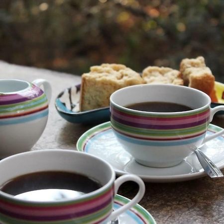 Thulamela Bed And Breakfast Hazyview Buitenkant foto