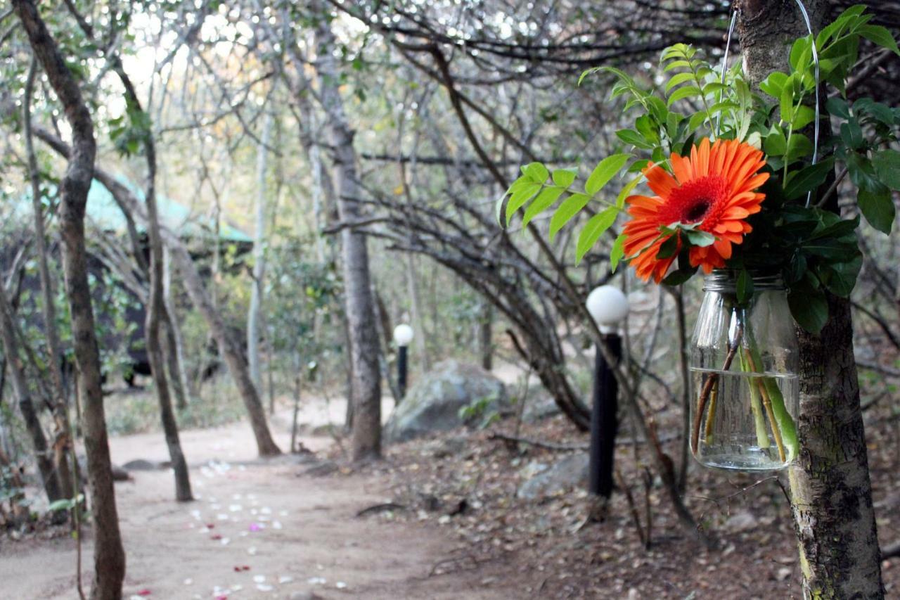 Thulamela Bed And Breakfast Hazyview Buitenkant foto